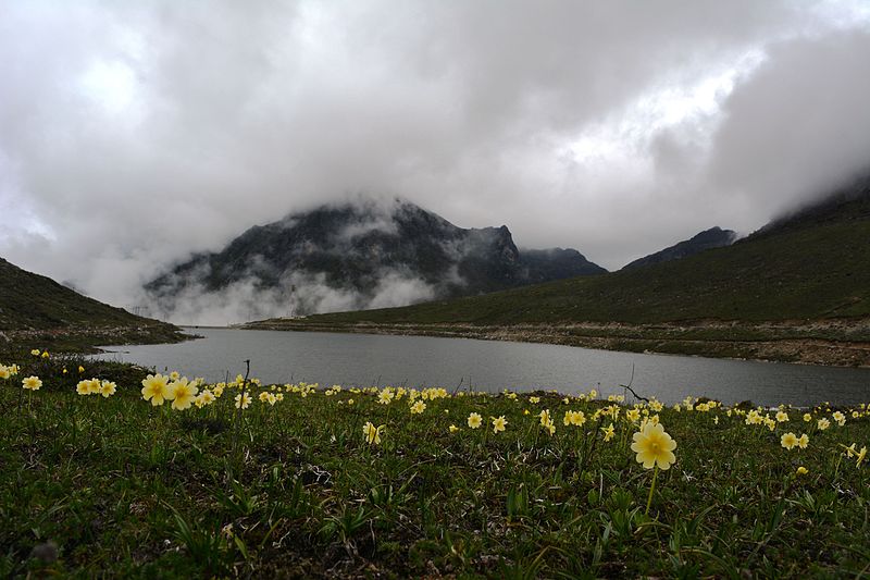 Arunachal Pradesh 11